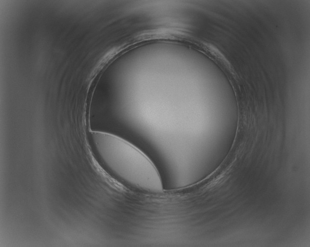 X0000053000938200507080951