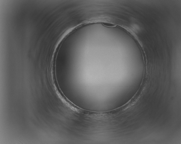 X0000053000949200507080952