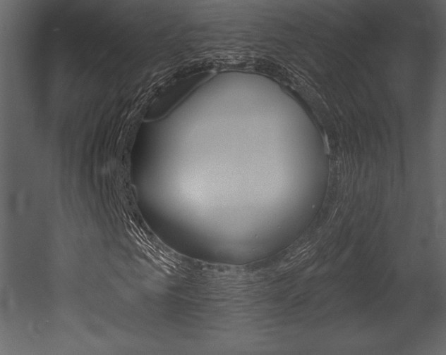X0000053000961200507080951