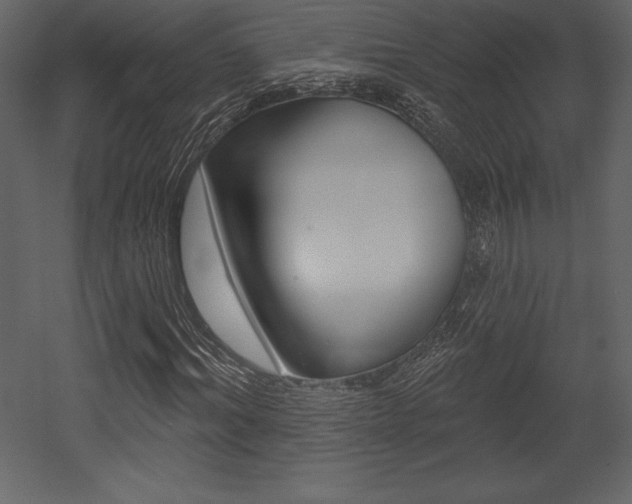 X0000053000964200507080951