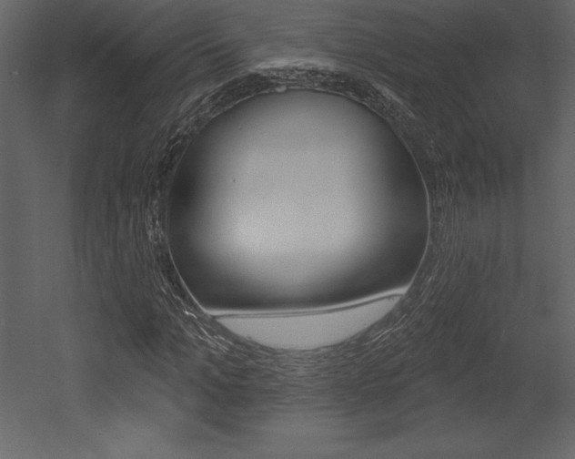 X0000053000965200507080951