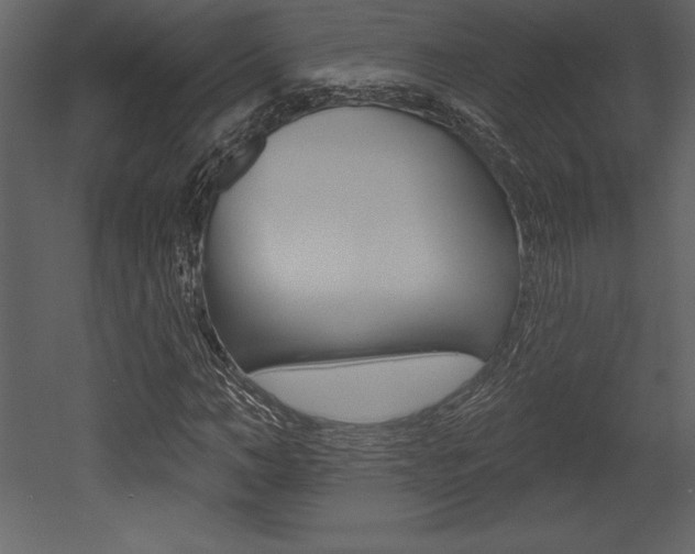 X0000053000966200507080951