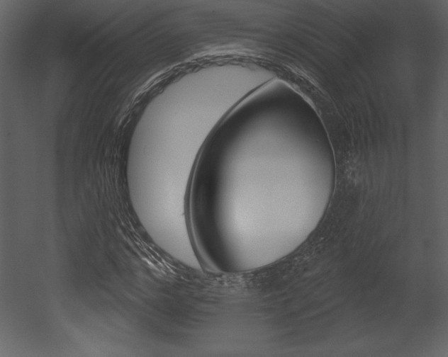 X0000053000968200507080951
