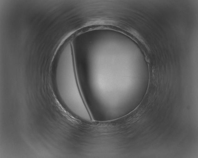 X0000053000972200507080951