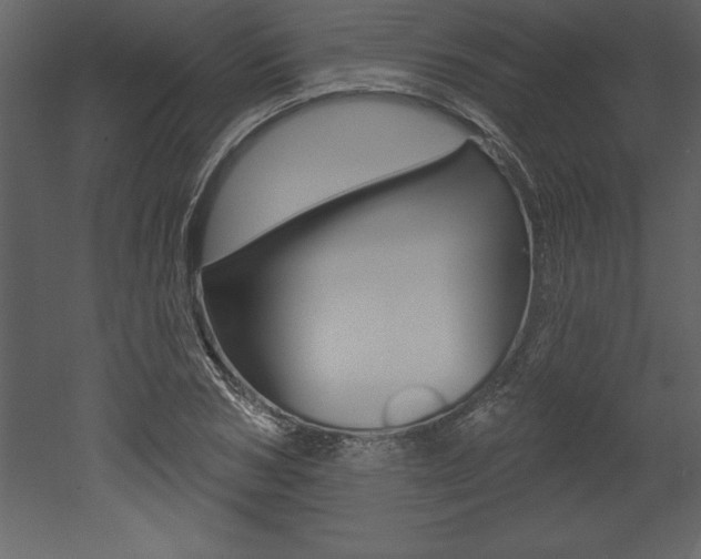X0000053000978200507080951