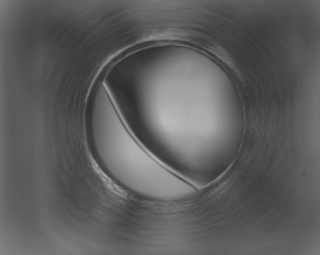 X0000053000980200507080951