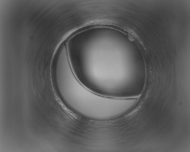 X0000053000981200507080951