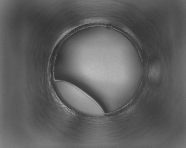 X0000053000983200507080951