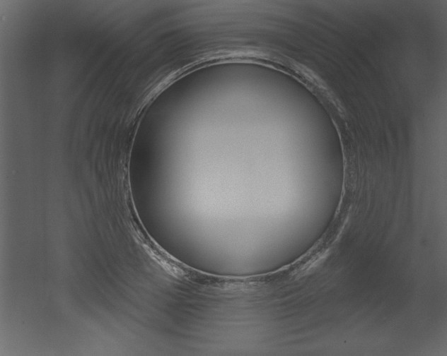 X0000053000985200507080950