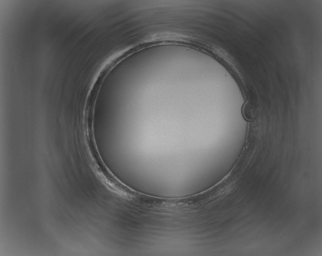 X0000053000987200507080950
