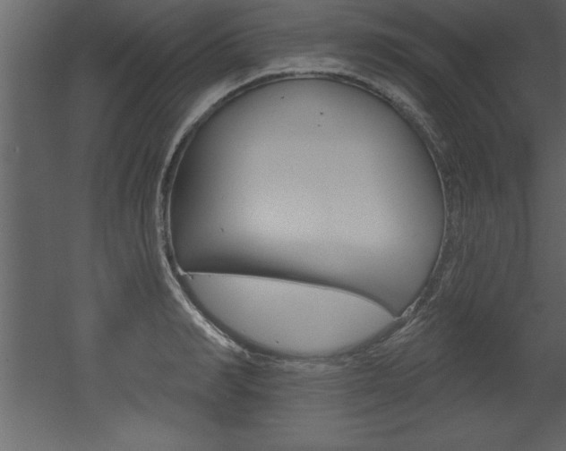 X0000053000990200507080950