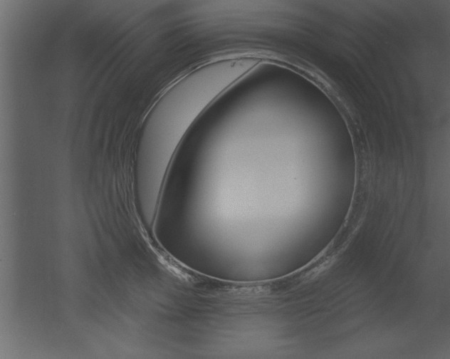 X0000053001001200507080950