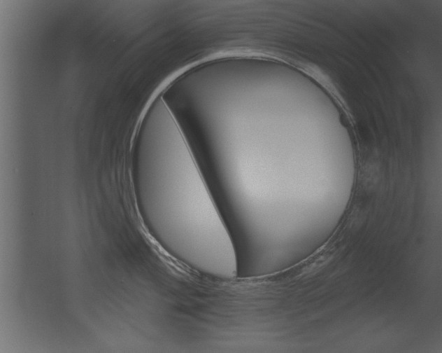 X0000053001004200507080950