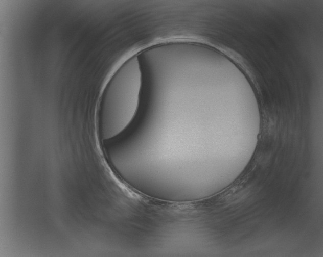 X0000053001006200507080950