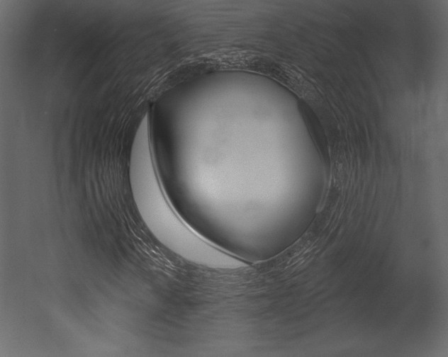 X0000053001010200507080949
