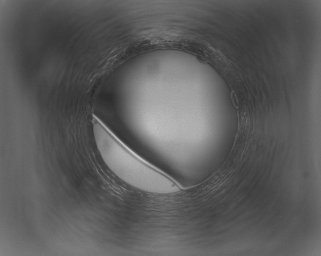 X0000053001012200507080949