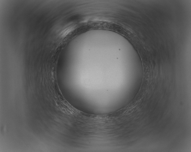 X0000053001013200507080949