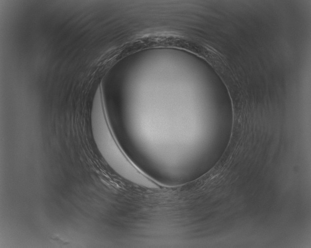 X0000053001014200507080949