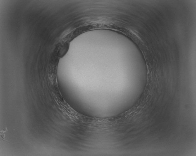 X0000053001015200507080949