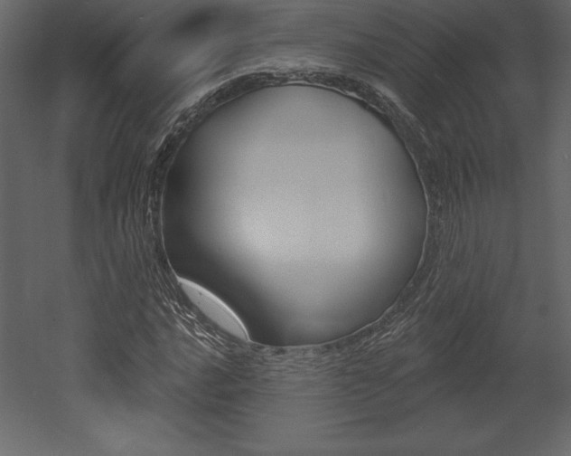 X0000053001016200507080949