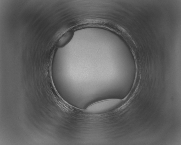X0000053001017200507080949