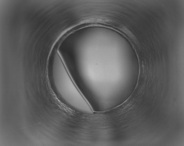 X0000053001020200507080949