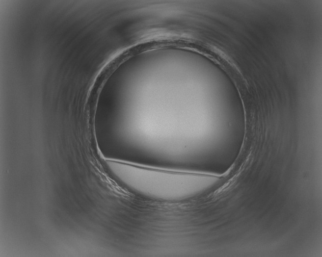 X0000053001021200507080949