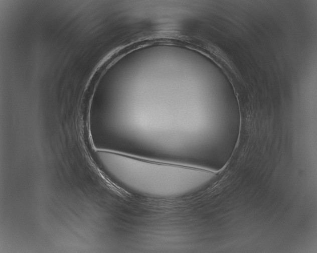 X0000053001024200507080950