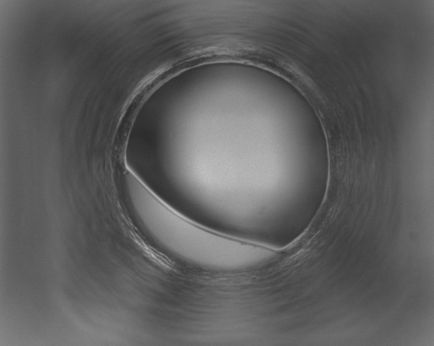 X0000053001026200507080950