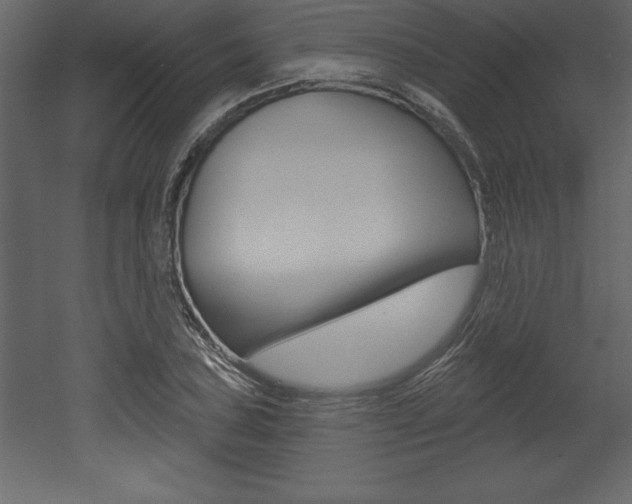 X0000053001027200507080950