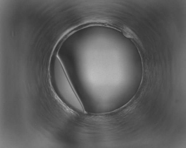X0000053001028200507080950