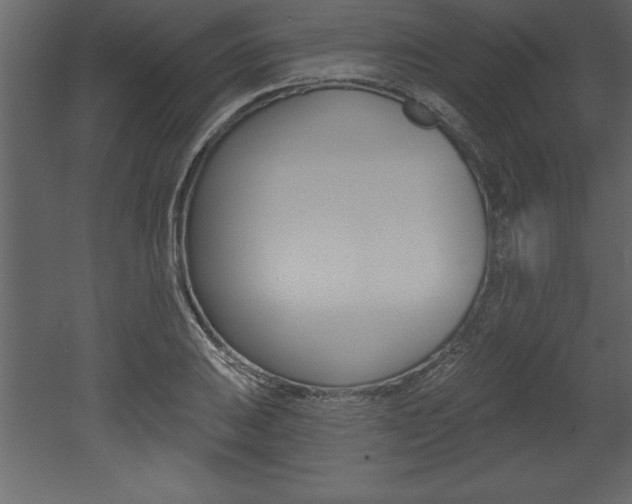 X0000053001031200507080950