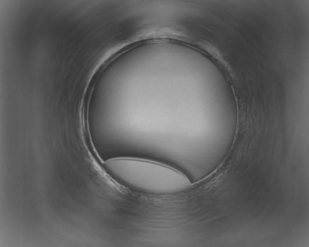 X0000053001032200507080950