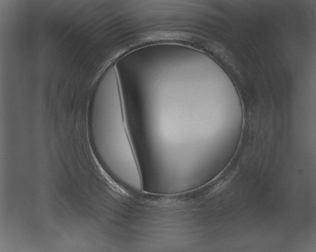 X0000053001033200507080950