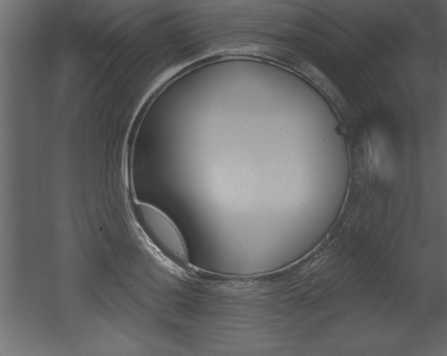 X0000053001036200507080950