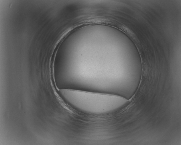 X0000053001039200507080950