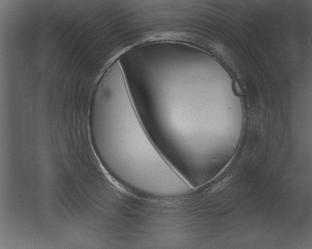 X0000053001041200507080950