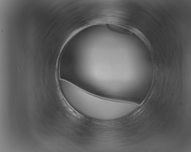 X0000053001052200507080950