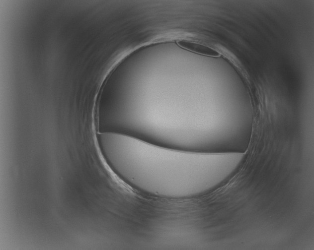 X0000053001055200507080950