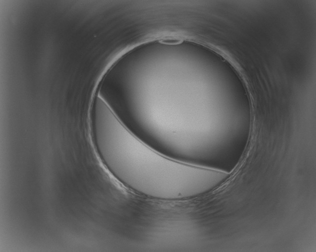 X0000053001056200507080950