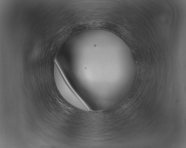 X0000053001058200507080949
