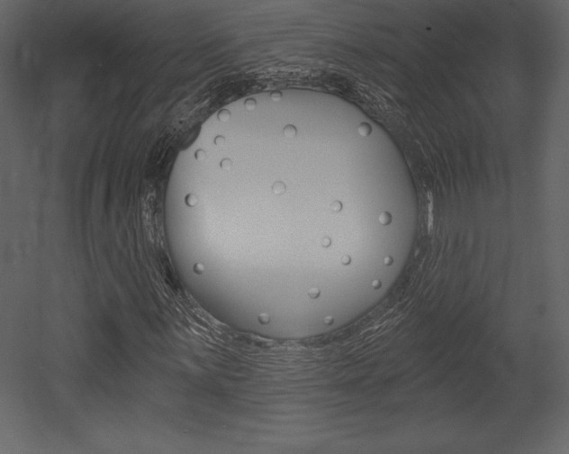 X0000053001059200507080949