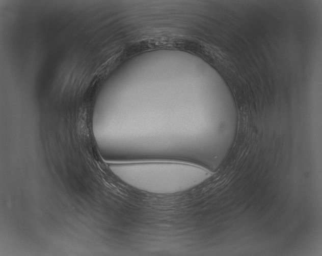 X0000053001060200507080949