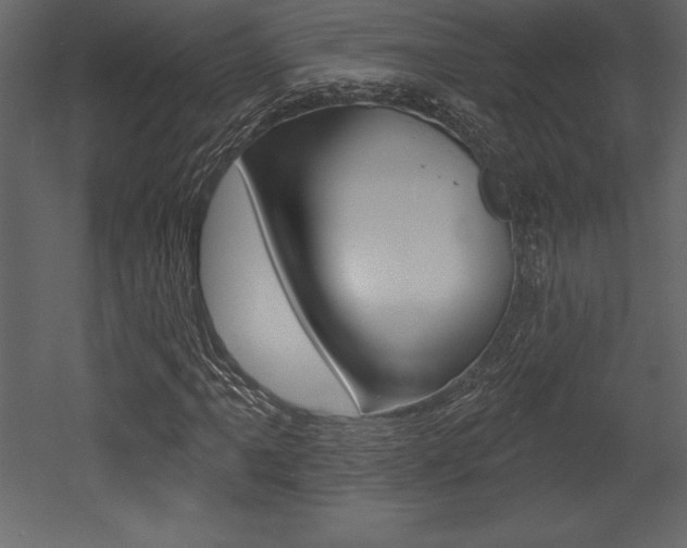 X0000053001061200507080949