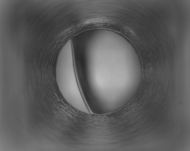 X0000053001062200507080949