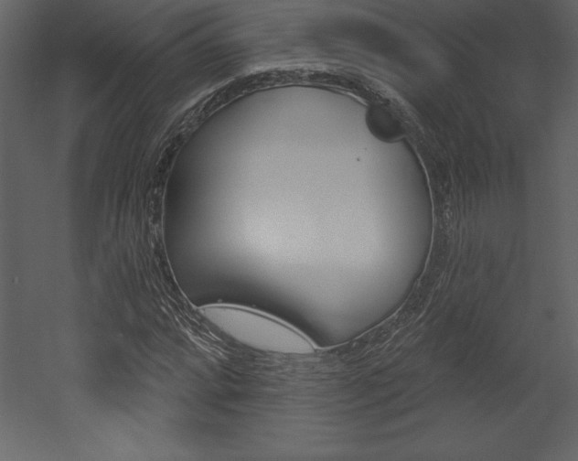 X0000053001064200507080949
