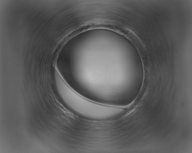 X0000053001065200507080949