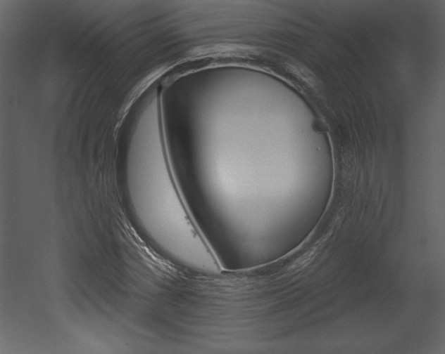 X0000053001066200507080949