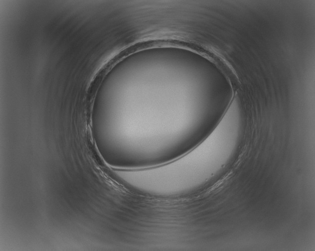 X0000053001069200507080949