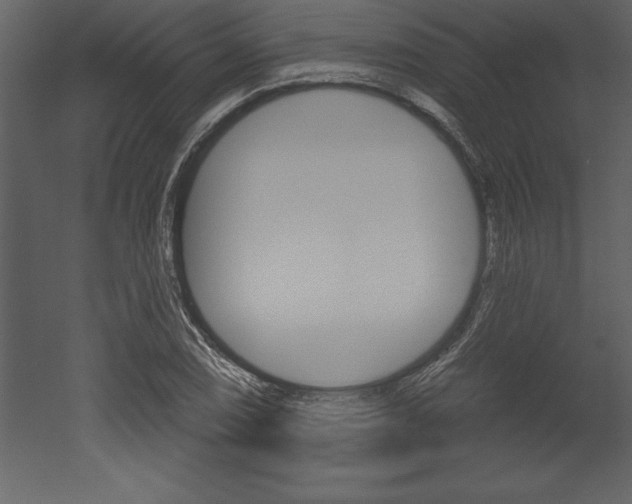 X0000053001074200507080949